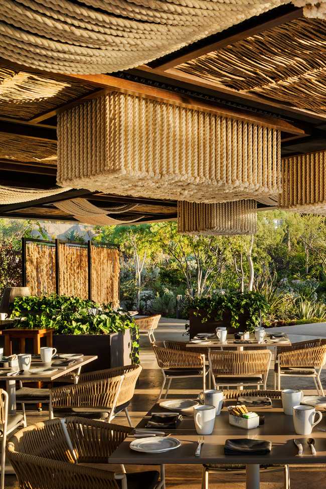 hotel california organic restaurant wood