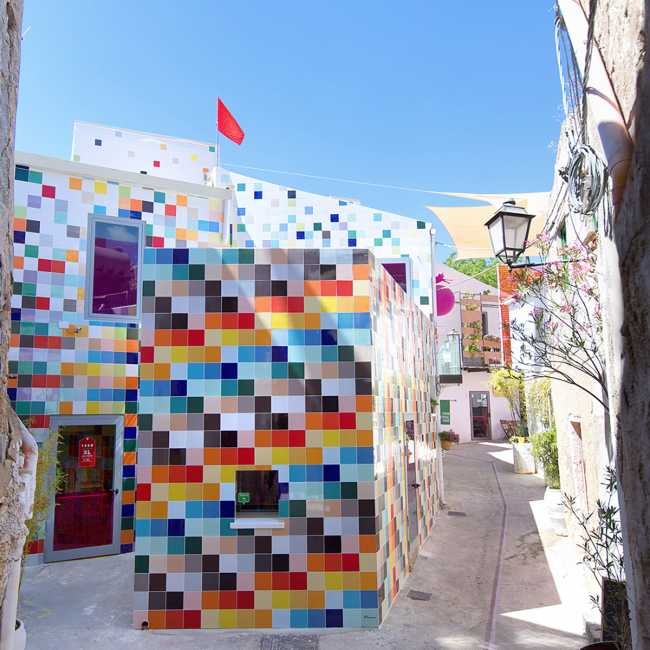 Soaring Farm Cultural color alleys