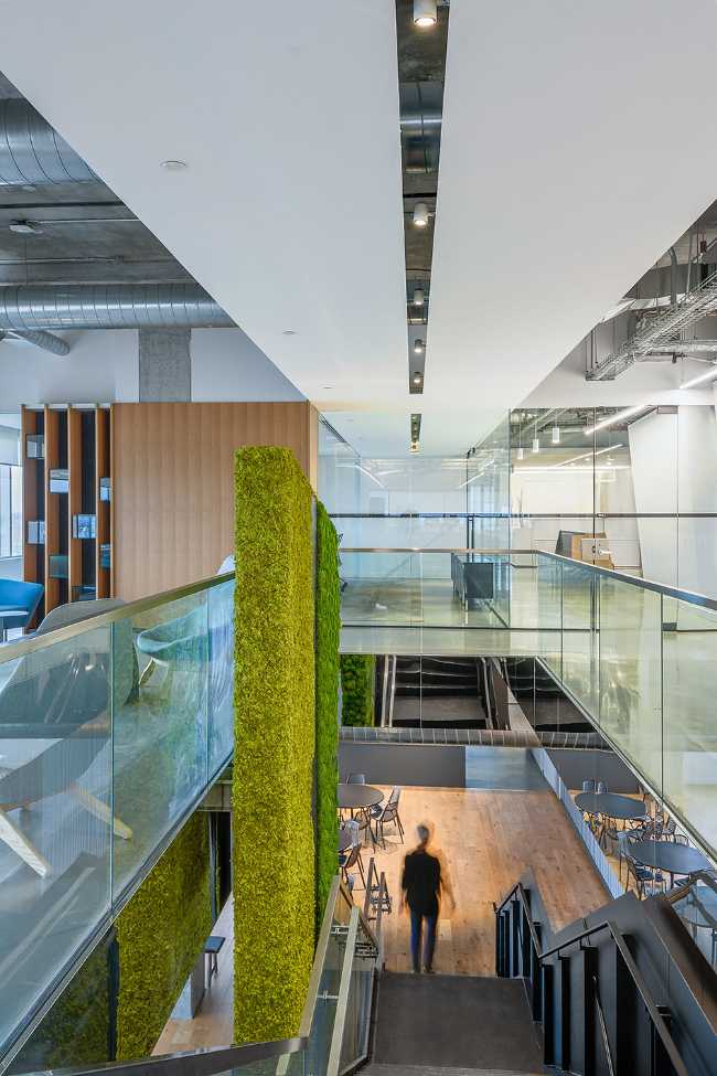offices double volume vertical green staircase