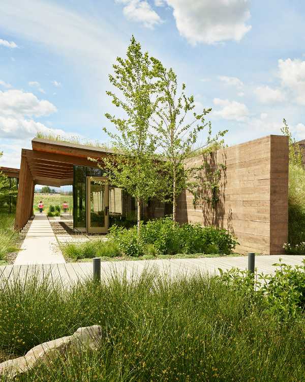 Offices in wood and glass