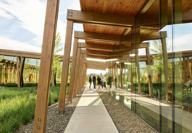 Structure in wood and glass