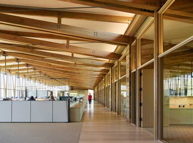 Interior wooden offices