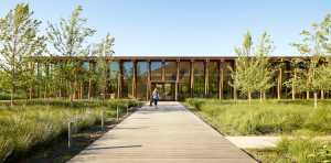 Oficinas de vidrio y madera