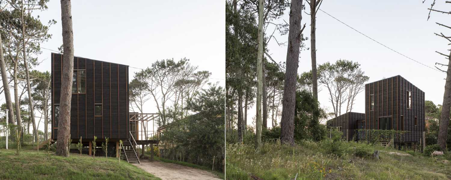 Casa in legno nella foresta