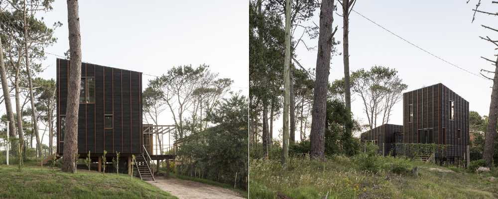 Casa de madera en el bosque