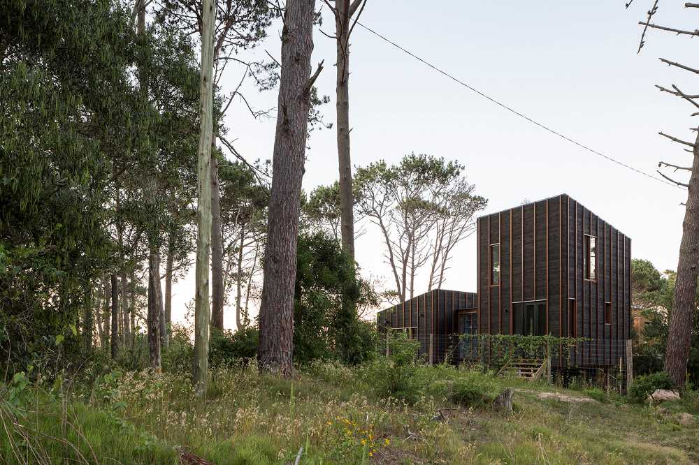 Casa in legno nella foresta