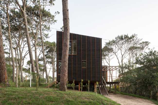 Wooden house in the forest