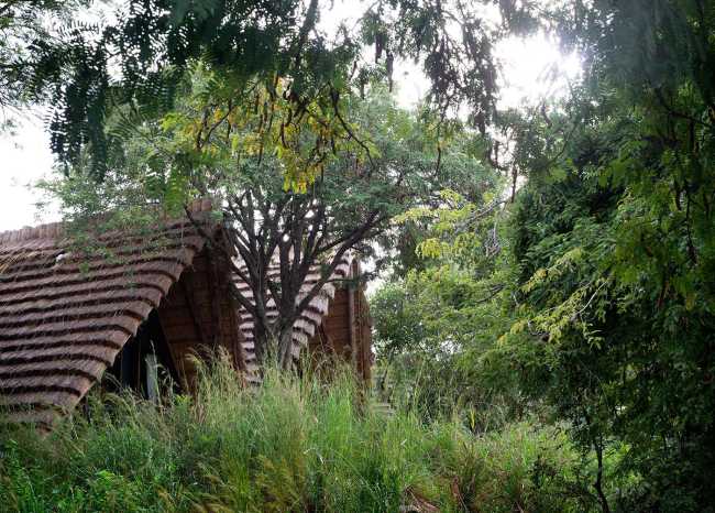 Lodge in legno nella foresta