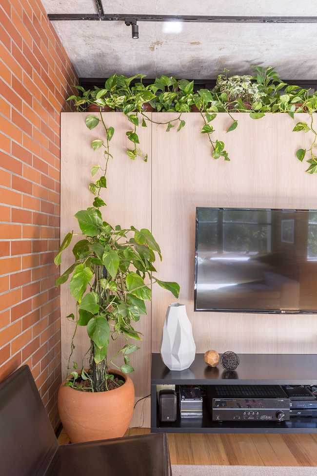 Corner in the living room with plant and TV