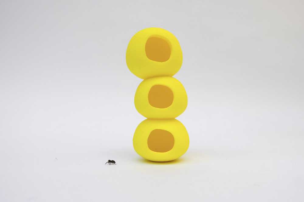 casa insetti plastica