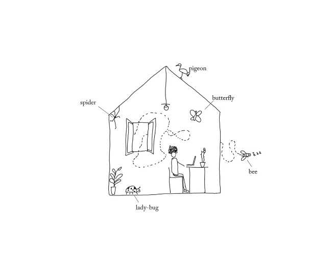 casa insetti plastica studio progetto