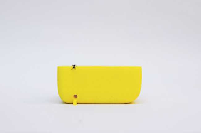 casa insetti plastica