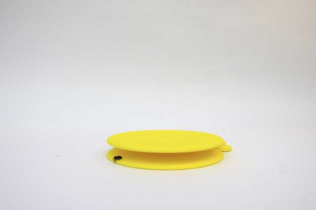 casa insetti plastica