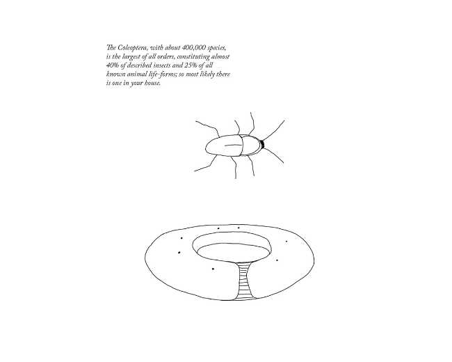 studio disegni casa insetti plastica