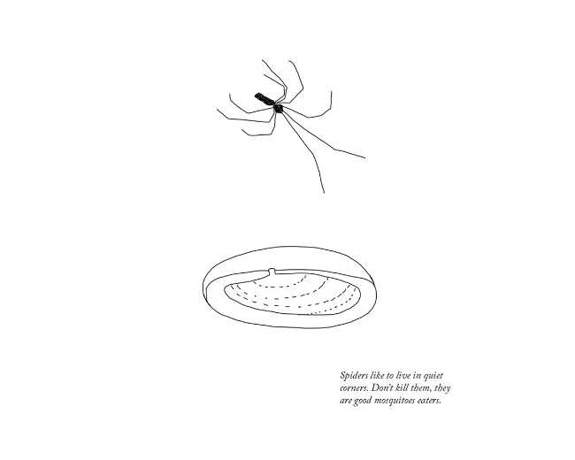 studio disegni casa insetti plastica