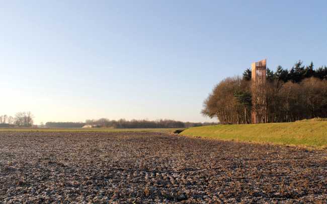 Margine della foresta con torre