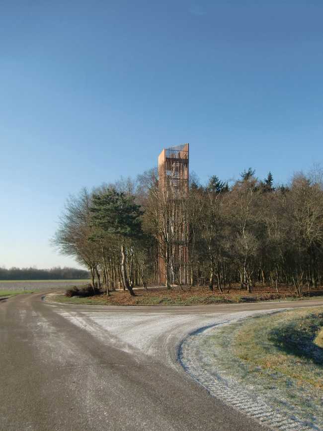 Torre tra gli alberi