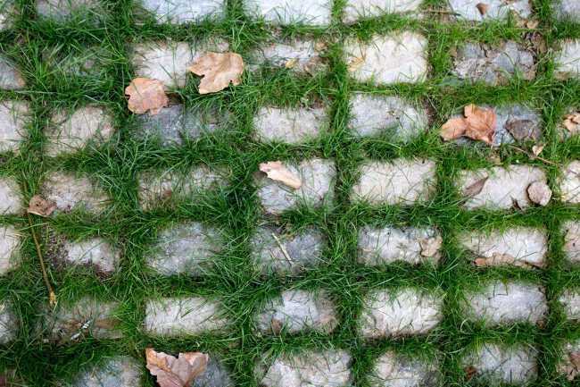 Ciottoli e erba dettaglio