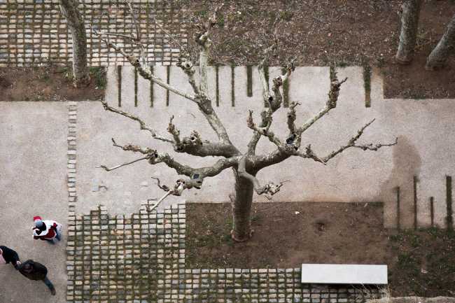 Viale visto dall'alto