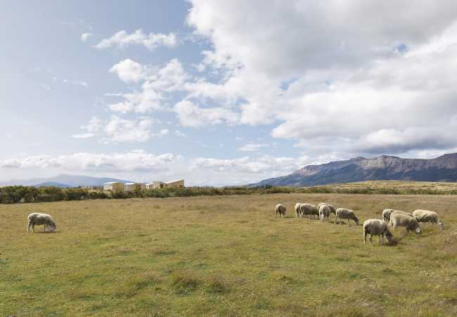 AKA Patagonia: harmony in wood between glaciers and Chilean landscapes