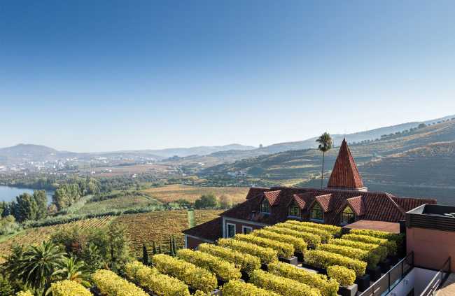 Fattoria tra le colline e vigneti
