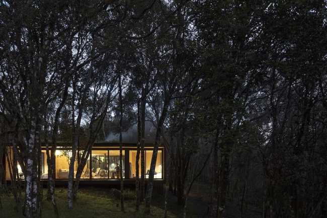 Rifugio nella foresta illuminato