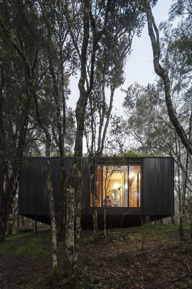 Rifugio nella foresta