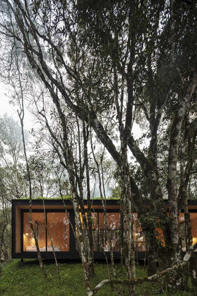 Rifugio nella foresta illuminato