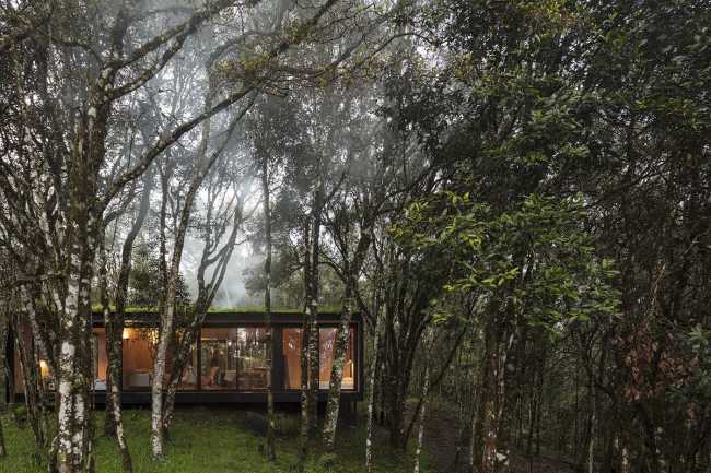 Rifugio nella foresta