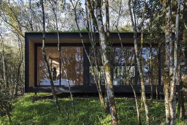 Rifugio tra gli alberi