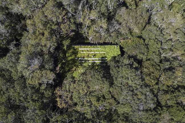 Rifugio nella foresta vista dall'alto