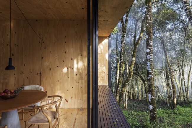 Interior rifugio nella foresta