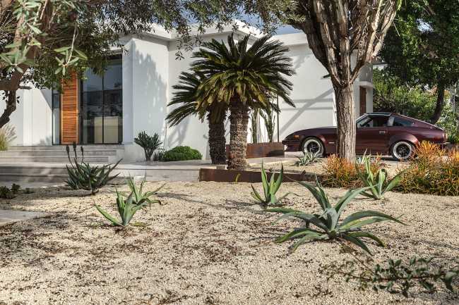 Mediterranean house with cactus