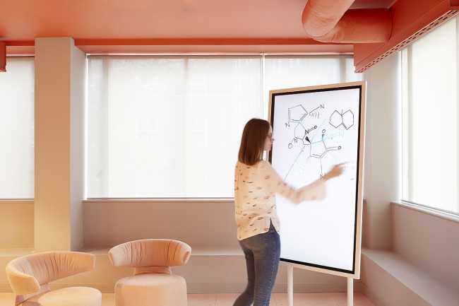 sala riunioni divani e controsoffitto rosa