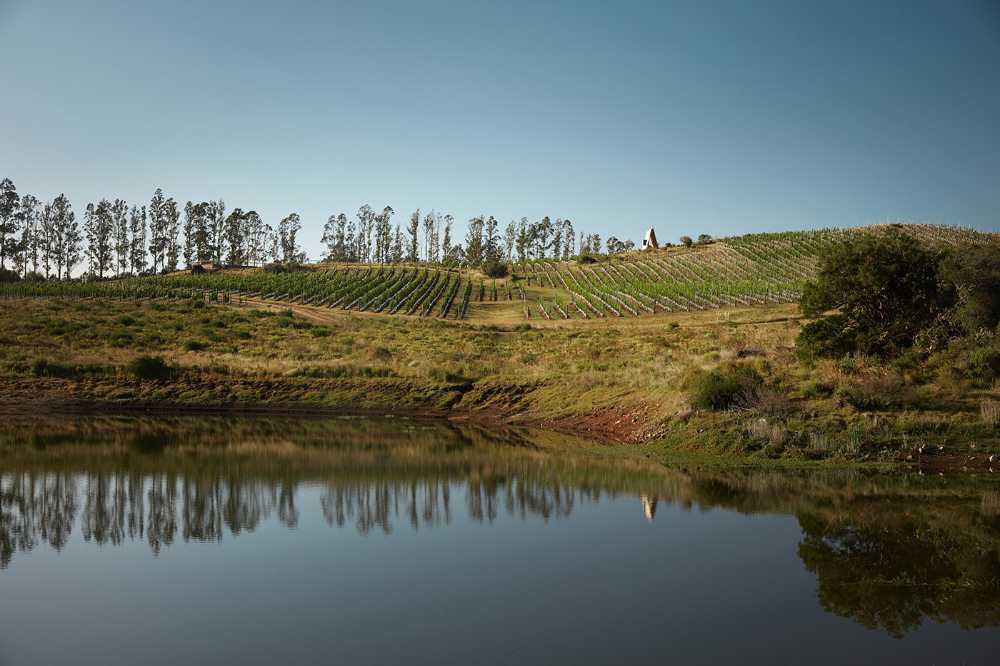 Une chapelle d'une forme primitive au milieu des vignobles, des lagunes et des collines. Architecture simple et austère