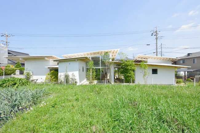 Wooden house with garden