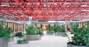 Area comune ex edificio industriale