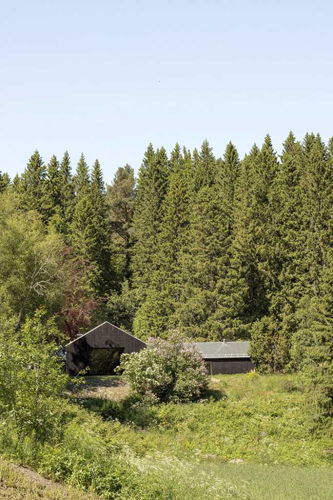 Vivienda en el bosque