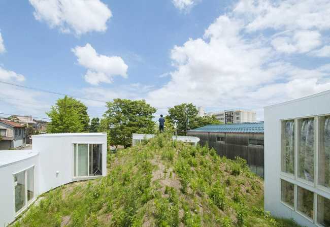 Residential complex in wood