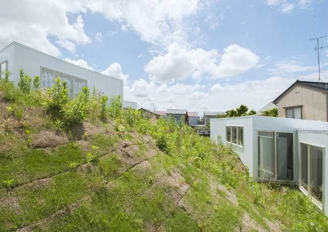 Wooden residential complex on a hill