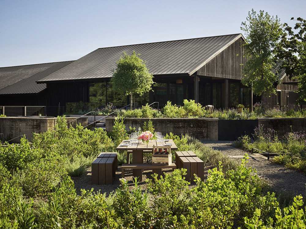 Azienda vinicola in California