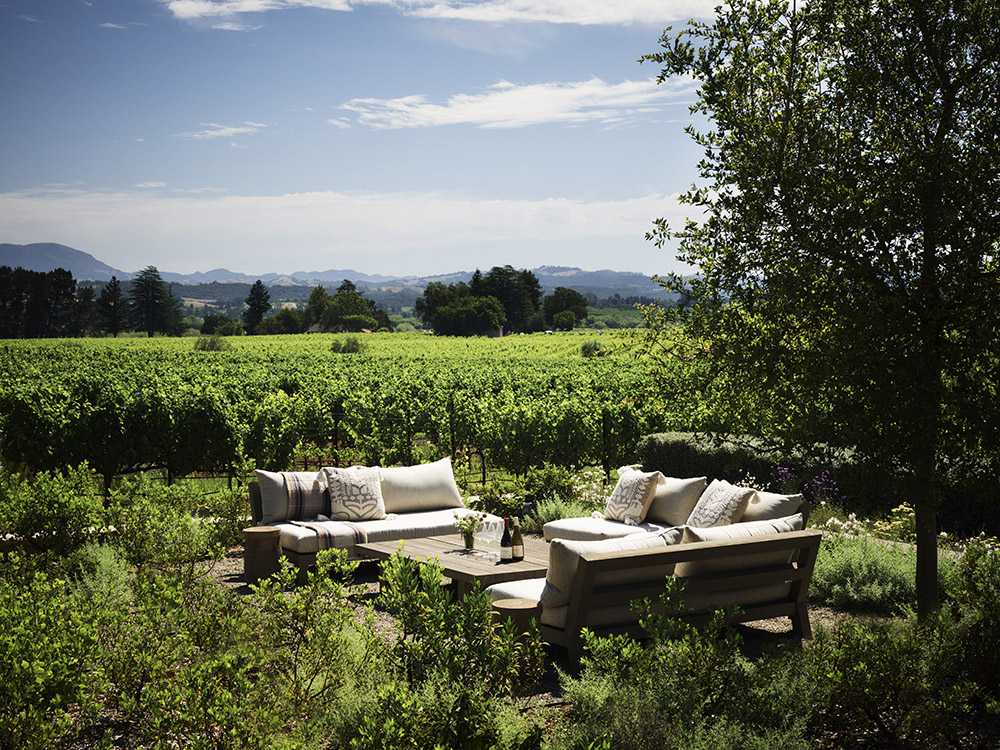 Azienda vinicola in California