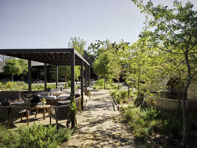 Winery in California