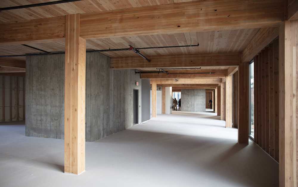 building structure clt brick cladding brick