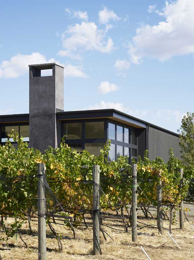 Structure of wine tasting