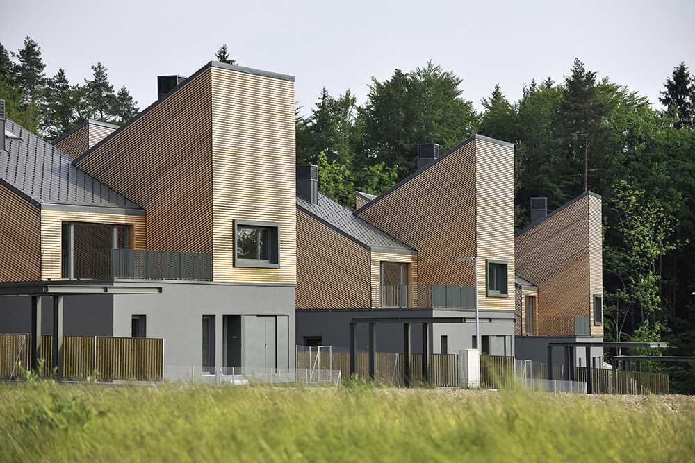 Wooden dwelling among the trees