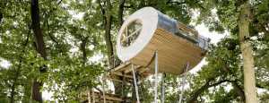 Innovation and nature: the treehouse in Lower Saxony