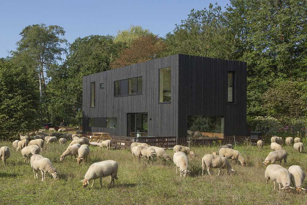 House in dark wood