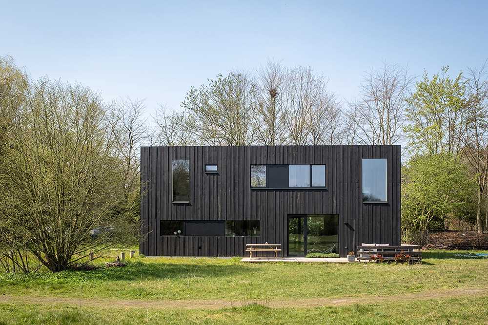 House in dark wood