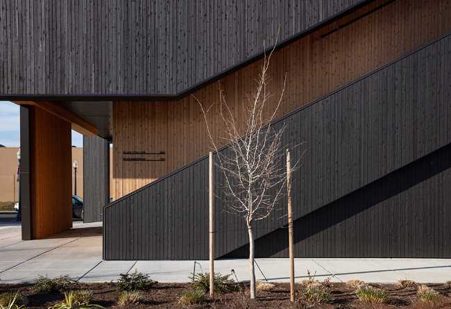 Multifunctional center in carbonized wood